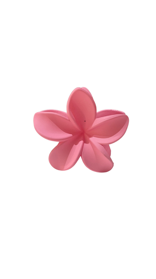 Pinces cheveux FLEURS