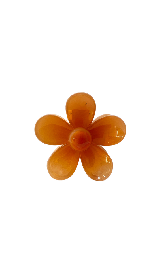Pinces cheveux FLEURS
